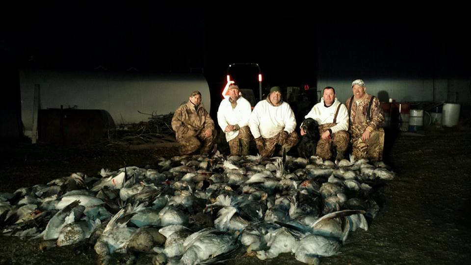 five hunters posing with a large display of waterfoul