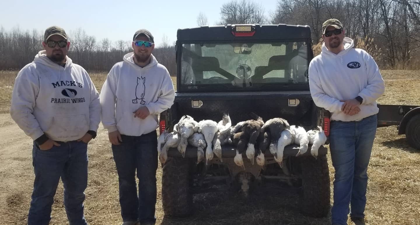 hunters standing next to a row of geese on the back of a hunting vehicle
